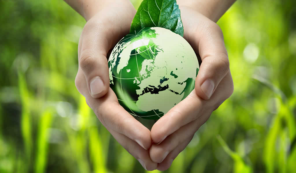 Environment and Sustainability 